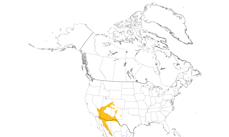 Range Map (North): Gambel's Quail