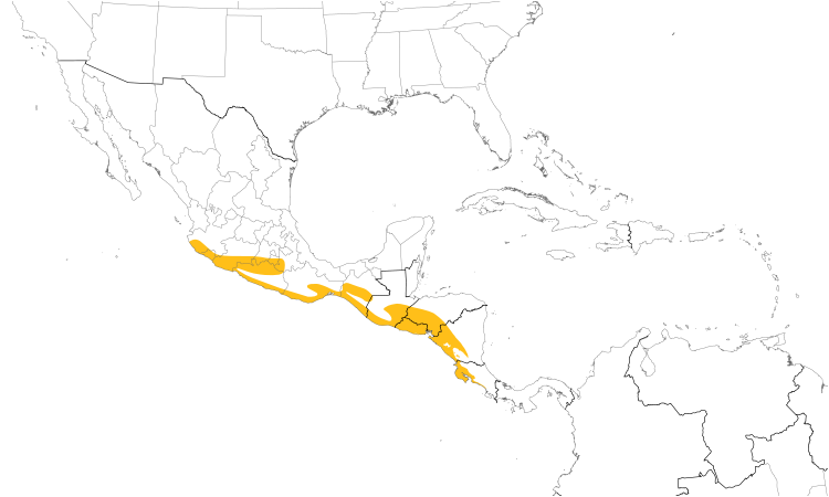 Range Map (Central): White-throated Magpie-Jay