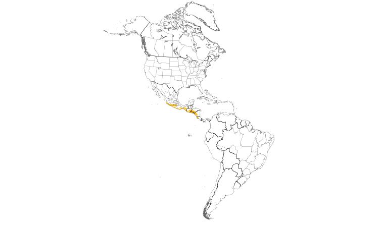 Range Map (Americas): White-throated Magpie-Jay
