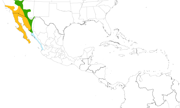 Range Map (Central): Costa's Hummingbird