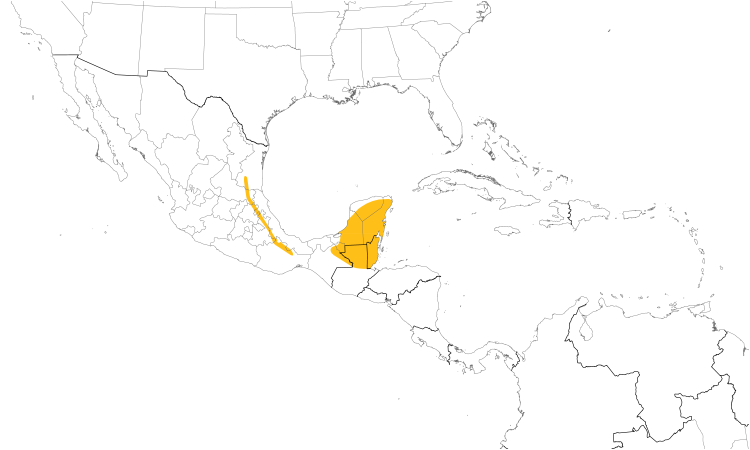 Range Map (Central): Wedge-tailed Sabrewing