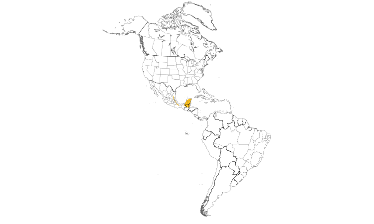 Range Map (Americas): Wedge-tailed Sabrewing