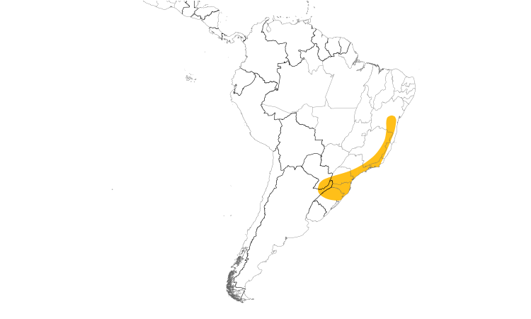 Range Map (South): Black-billed Scythebill