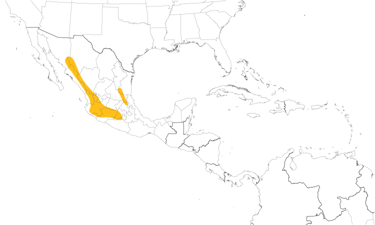 Range Map (Central): Spotted Wren