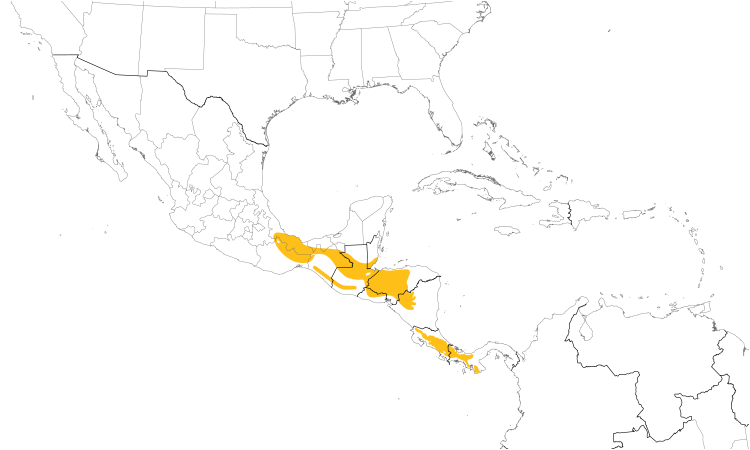 Range Map (Central): Violet Sabrewing