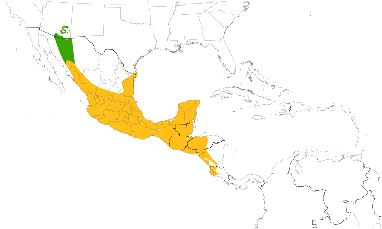 Range Map (Central): Northern Beardless-Tyrannulet