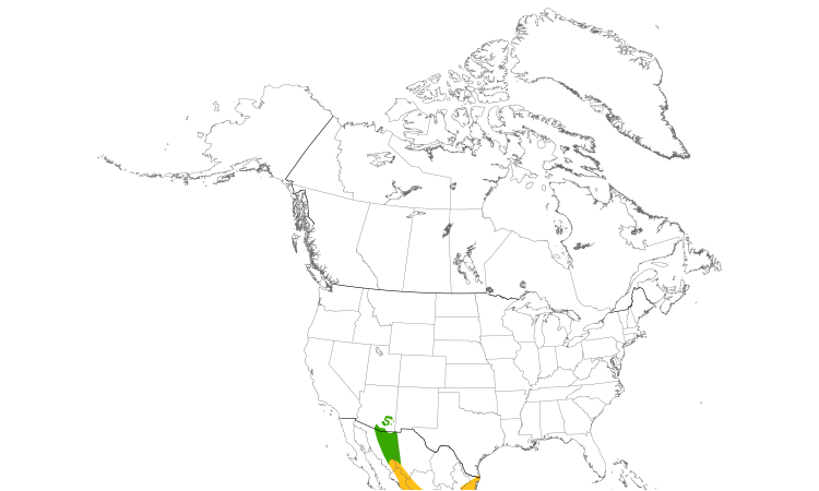 Range Map (North): Northern Beardless-Tyrannulet