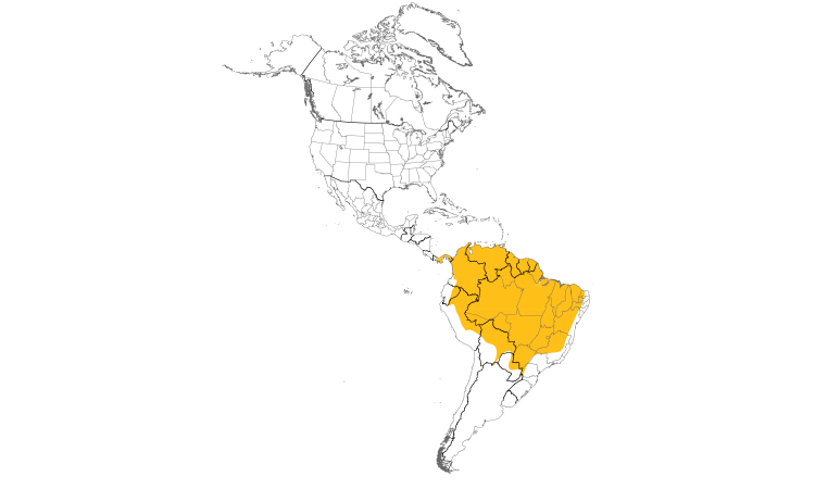 Range Map (Americas): Crimson-crested Woodpecker