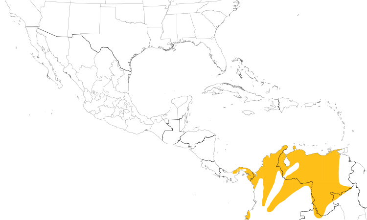 Range Map (Central): Red-billed Scythebill