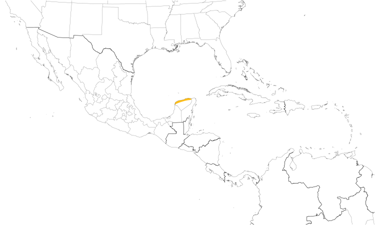 Range Map (Central): Yucatan Wren