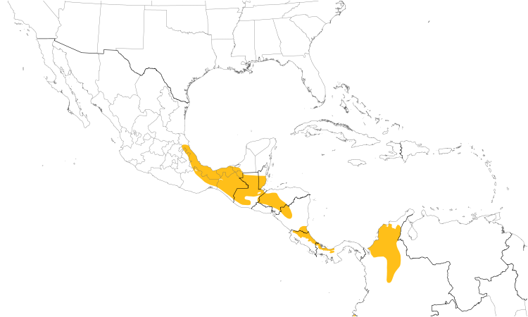 Range Map (Central): Band-backed Wren
