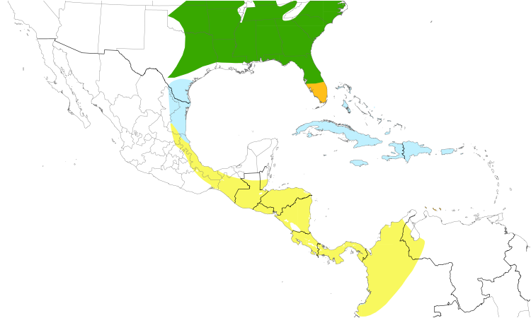 Range Map (Central): Chuck-will's-widow