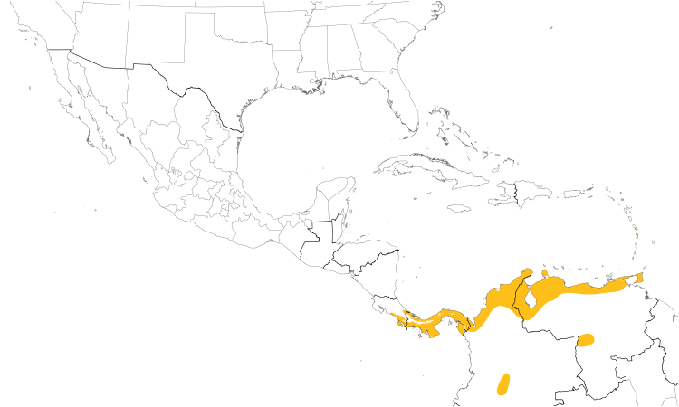 Range Map (Central): Rufous Nightjar