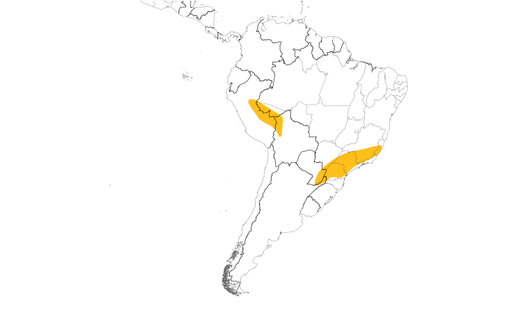 Range Map (South): Silky-tailed Nightjar