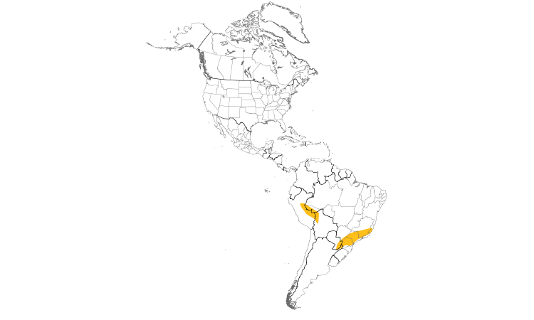 Range Map (Americas): Silky-tailed Nightjar