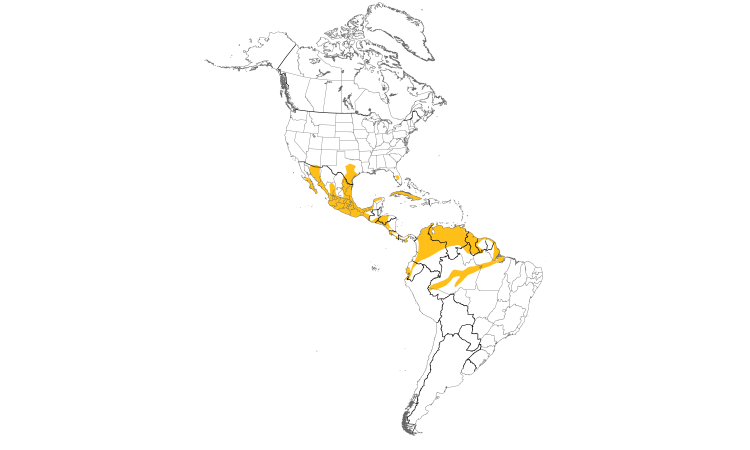 Range Map (Americas): Crested Caracara