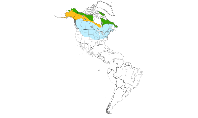 Carte de répartition  (Americas): Sizerin flammé
