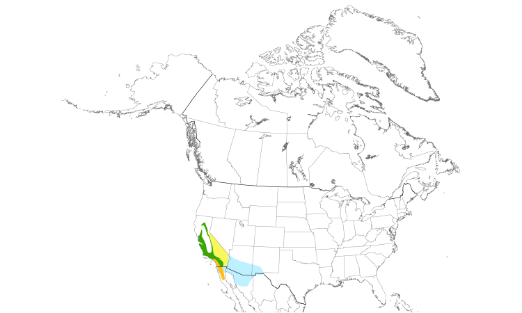 Range Map (North): Lawrence's Goldfinch