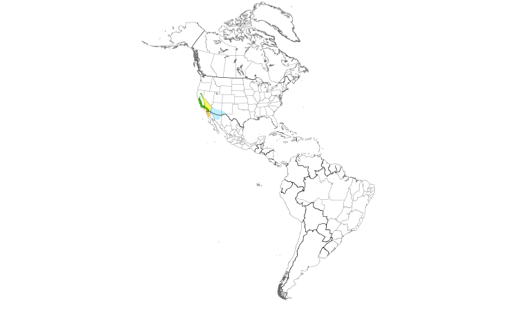Range Map (Americas): Lawrence's Goldfinch