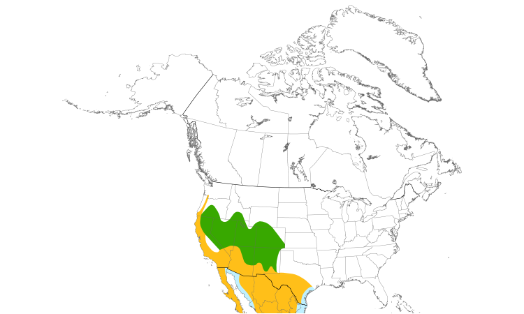 Range Map (North): Lesser Goldfinch