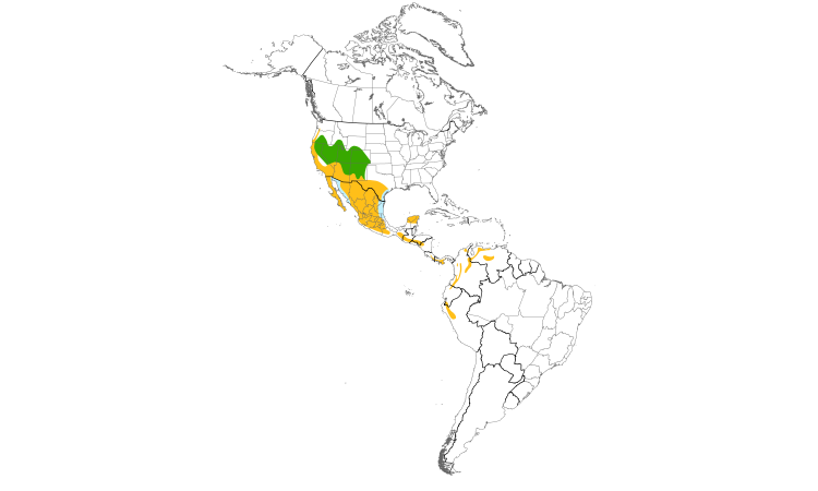 Range Map (Americas): Lesser Goldfinch