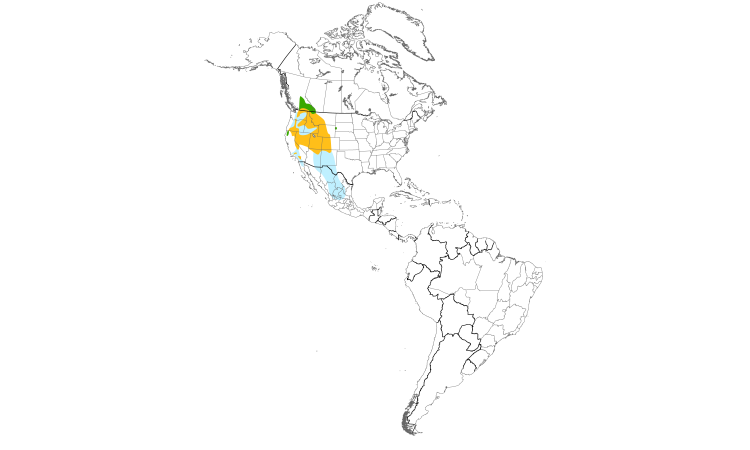 Range Map (Americas): Cassin's Finch