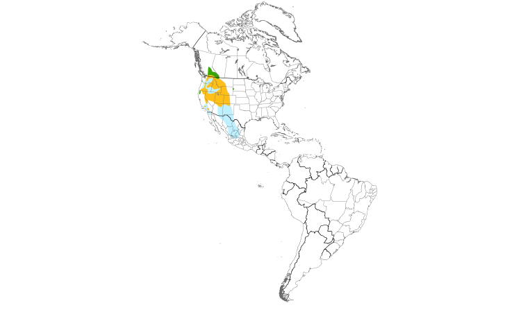 Range Map (Americas): Cassin's Finch