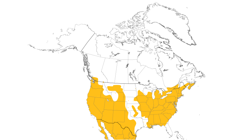 Carte de répartition  (North): Roselin familier