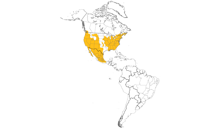 Carte de répartition  (Americas): Roselin familier