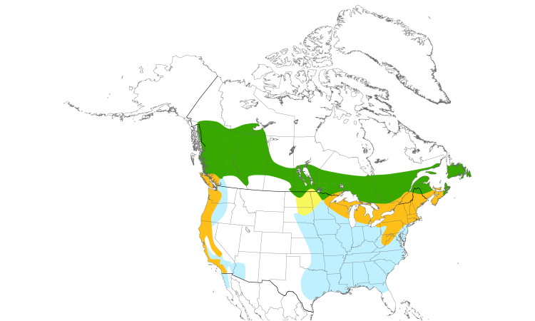 Range Map (North): Purple Finch