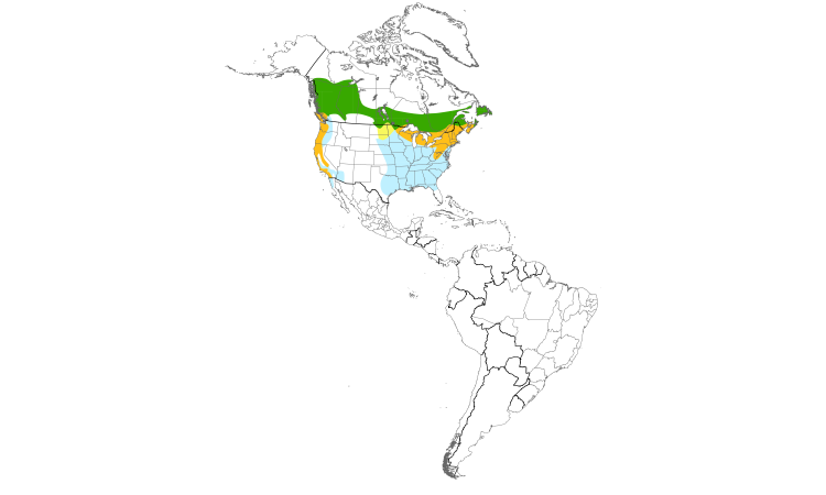 Range Map (Americas): Purple Finch