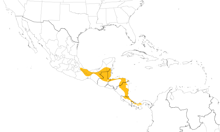 Range Map (Central): Black-faced Grosbeak