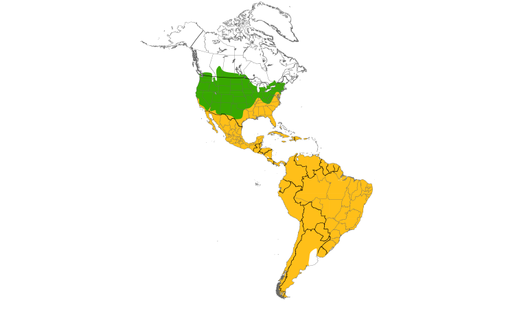 Range Map (Americas): Turkey Vulture