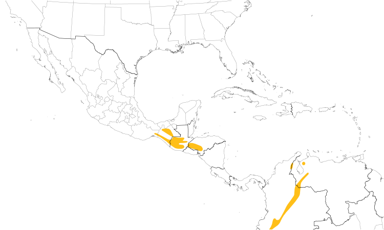 Range Map (Central): Spotted Nightingale-Thrush