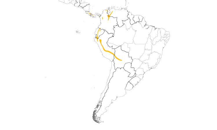 Range Map (South): Slaty-backed Nightingale-Thrush
