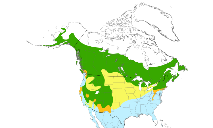 Range Map (North): Hermit Thrush