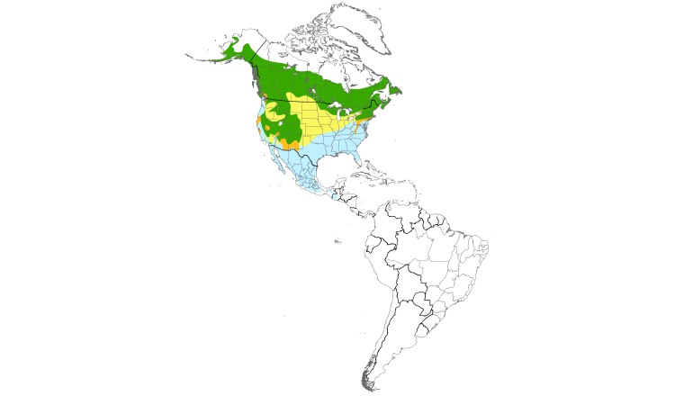 Range Map (Americas): Hermit Thrush