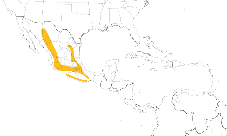 Range Map (Central): Russet Nightingale-Thrush