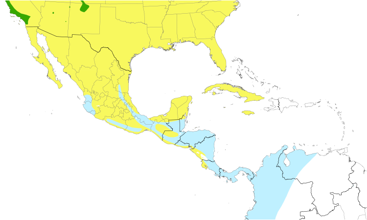Range Map (Central): Swainson's Thrush