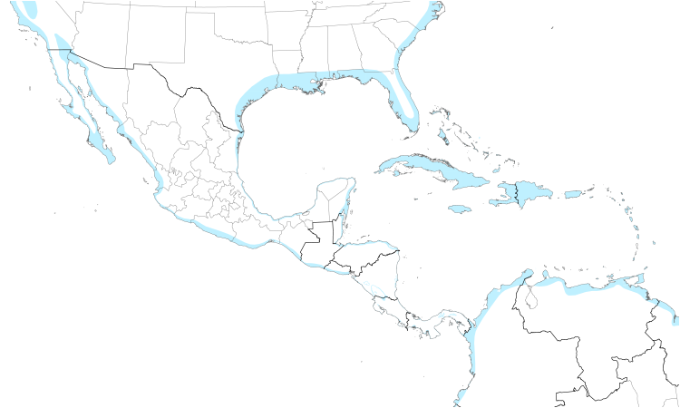 Range Map (Central): Willet