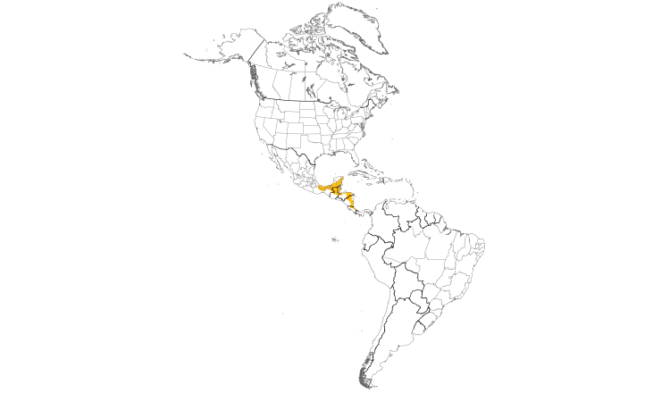 Range Map (Americas): Chestnut-colored Woodpecker
