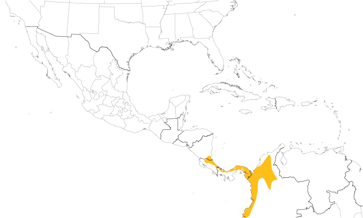 Range Map (Central): Cinnamon Woodpecker