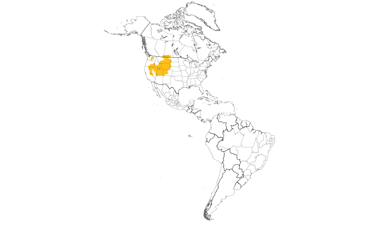 Range Map (Americas): Greater Sage-Grouse