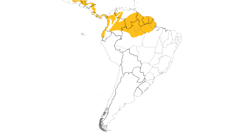 Range Map (South): Dusky Antbird