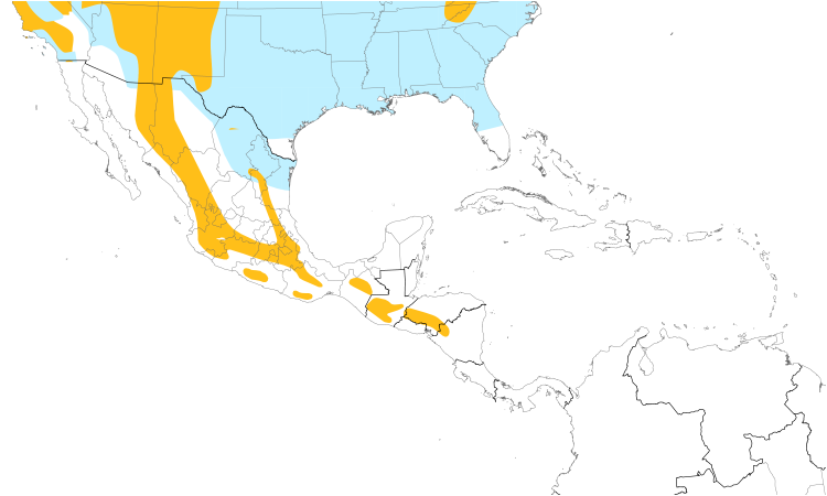 Range Map (Central): Brown Creeper