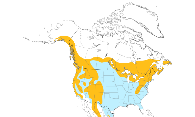 Range Map (North): Brown Creeper