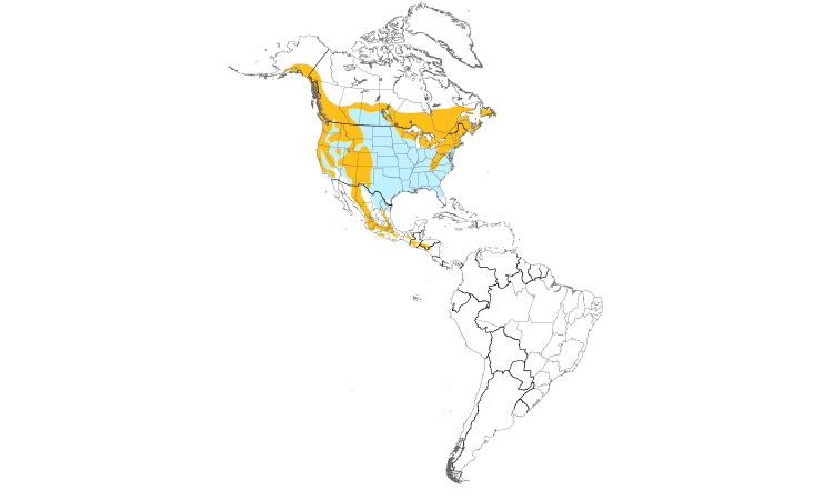 Range Map (Americas): Brown Creeper