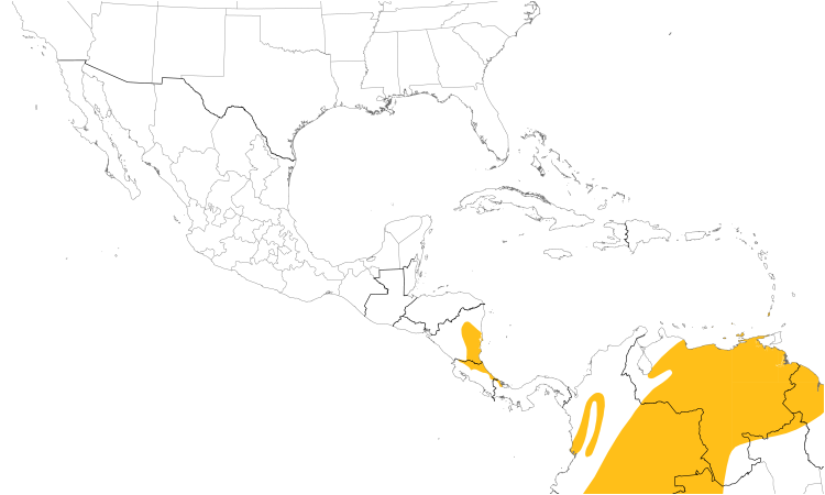 Range Map (Central): Gray-rumped Swift