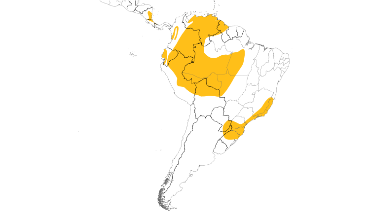 Range Map (South): Gray-rumped Swift