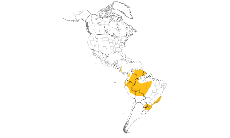 Range Map (Americas): Gray-rumped Swift